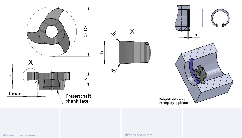 Mini Mill Insert AL41F D=10 b=0.94-0.02 tmax=1.5